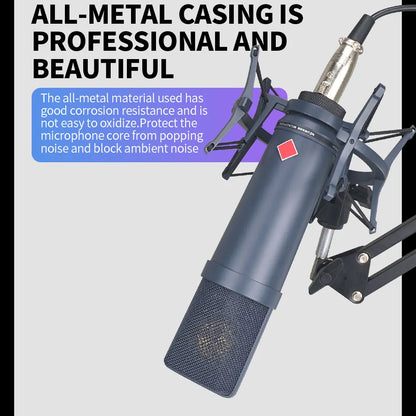 TLM193 Microphone Standard Studio Condenser Sound Recording Microphone Condenser TLM193 Studio Recording Microphone