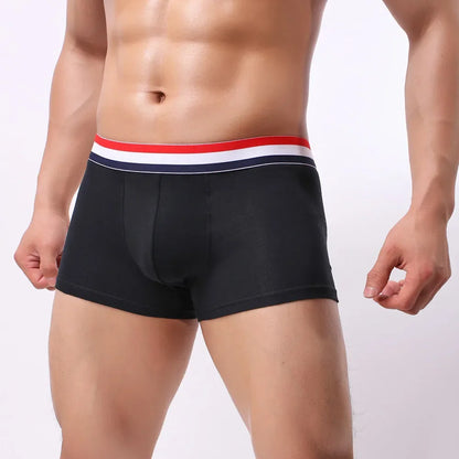 New Boxer Men Cotton Underwear Sexy Knickers for Men Underwear Sexy Man Briefs Mens Boxers Panties Underpants Brand Short