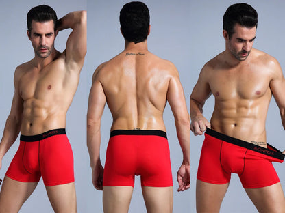 5Pcs Men's Cotton Boxer Underwear