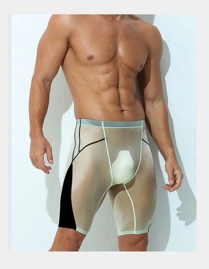 Sexy Sheer Men Elastic Underwears Sports Sexy See Through Ultra Thin Shorts Briefs