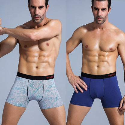 5Pcs Men's Cotton Boxer Underwear