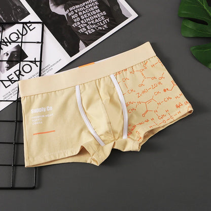 Men Panties Cotton Boxer Shorts Mens Boxers Breathable U Convex Male Underpants