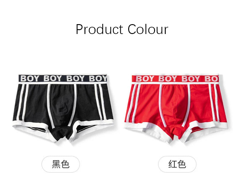 Fashion Men's Panties Underpants Cotton Soft Male Comfortable Breathable Boxer Shorts Youth U Bulge Pouch Sexy Underwear Cuecas