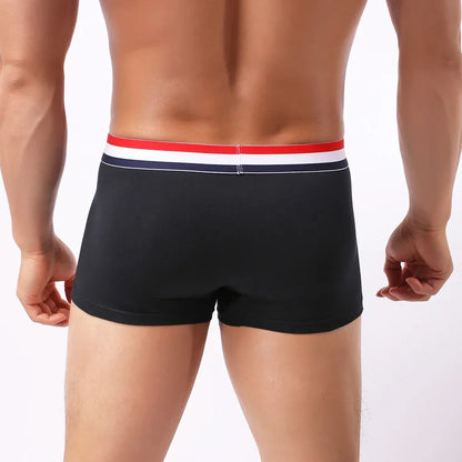 New Boxer Men Cotton Underwear Sexy Knickers for Men Underwear Sexy Man Briefs Mens Boxers Panties Underpants Brand Short