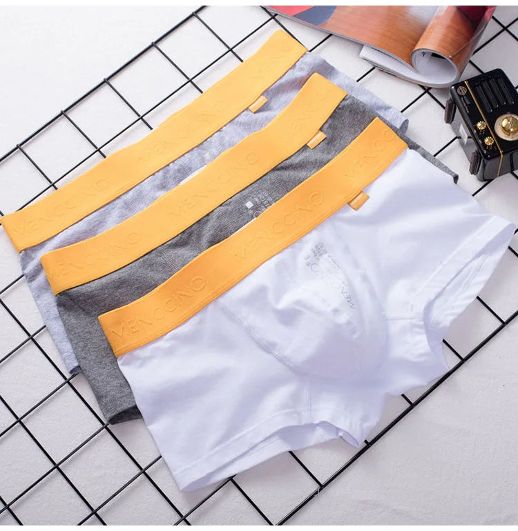 Men's underwear boxer shorts Pure cotton low waist sexy youth comfortable breathable U convex simple white boxer shorts