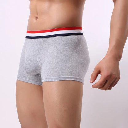 New Boxer Men Cotton Underwear Sexy Knickers for Men Underwear Sexy Man Briefs Mens Boxers Panties Underpants Brand Short