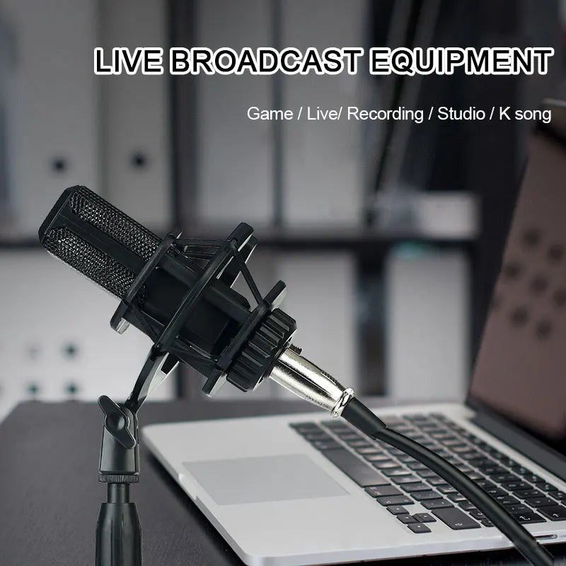 Professional Podcast Music Studio Recording Karaoke Condenser Microphone Game Live Broadcast KTV Sound Audio Card Kit for Stream