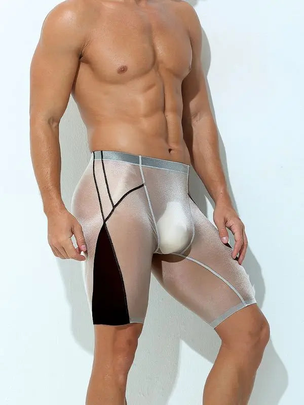 Sexy Sheer Men Elastic Underwears Sports Sexy See Through Ultra Thin Shorts Briefs