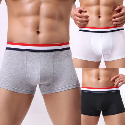 New Boxer Men Cotton Underwear Sexy Knickers for Men Underwear Sexy Man Briefs Mens Boxers Panties Underpants Brand Short