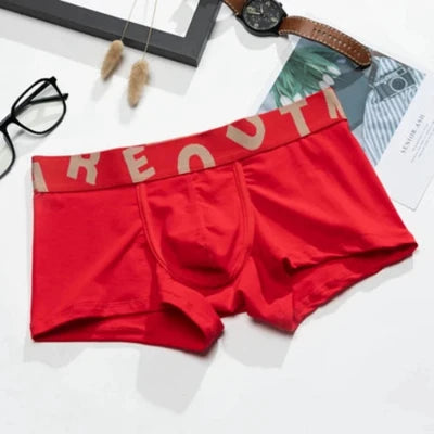 2pcs Men's Boxers Briefs Low Waist Cotton Breathable Comfort U Convex Men's Youth Boxer Brief.