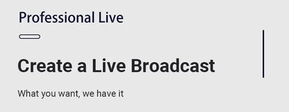 Professional Podcast Music Studio Recording Karaoke Condenser Microphone Game Live Broadcast KTV Sound Audio Card Kit for Stream