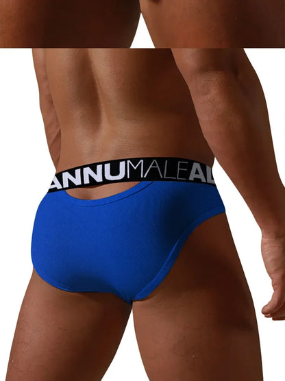 Men's Brief Low Waist Underwear