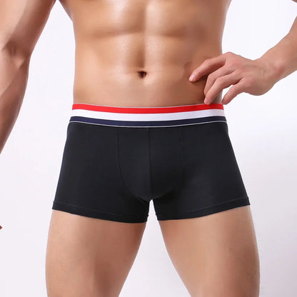 New Boxer Men Cotton Underwear Sexy Knickers for Men Underwear Sexy Man Briefs Mens Boxers Panties Underpants Brand Short