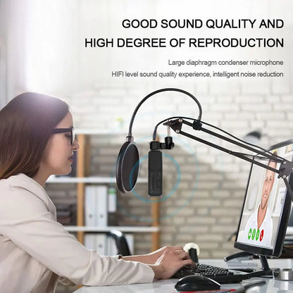 Professional Podcast Music Studio Recording Karaoke Condenser Microphone Game Live Broadcast KTV Sound Audio Card Kit for Stream