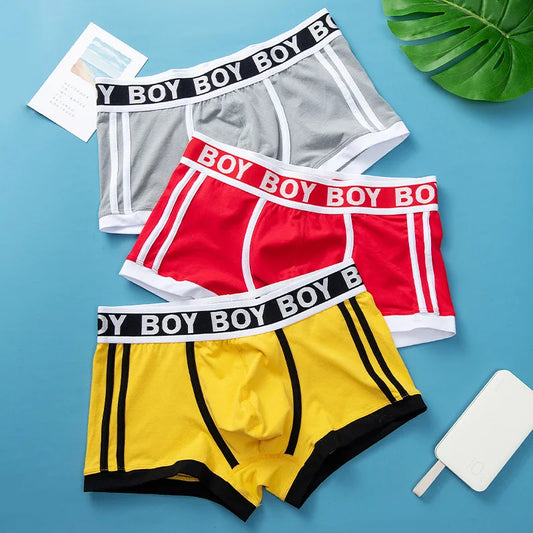 Fashion Men's Panties Underpants Cotton Soft Male Comfortable Breathable Boxer Shorts Youth U Bulge Pouch Sexy Underwear Cuecas