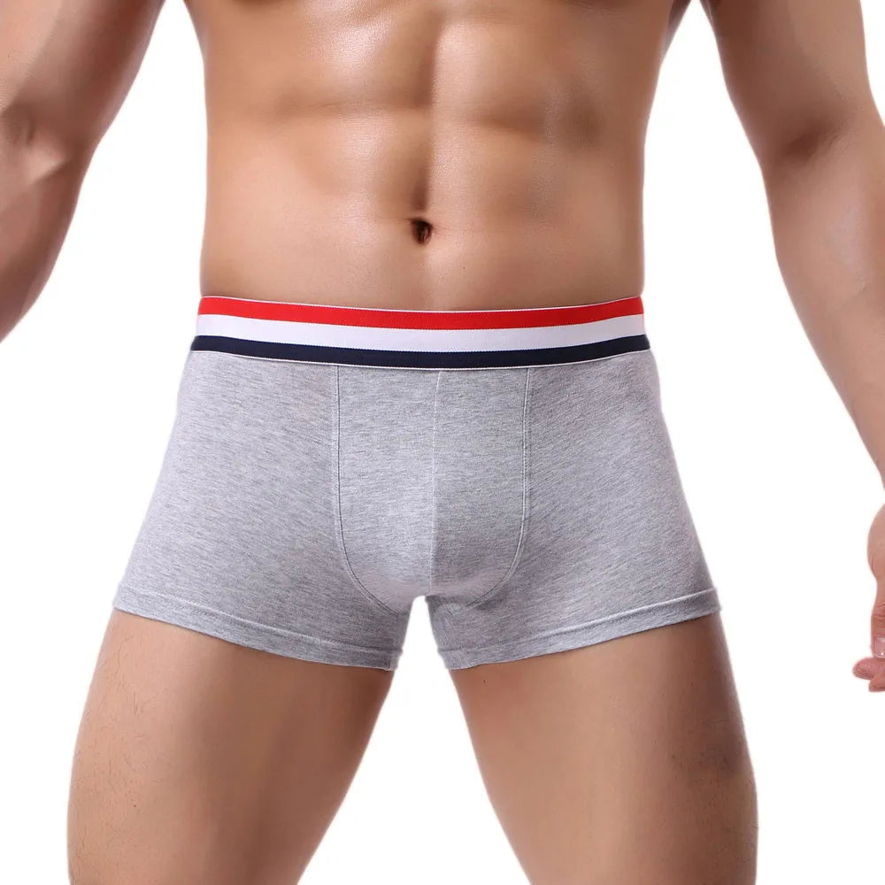 New Boxer Men Cotton Underwear Sexy Knickers for Men Underwear Sexy Man Briefs Mens Boxers Panties Underpants Brand Short