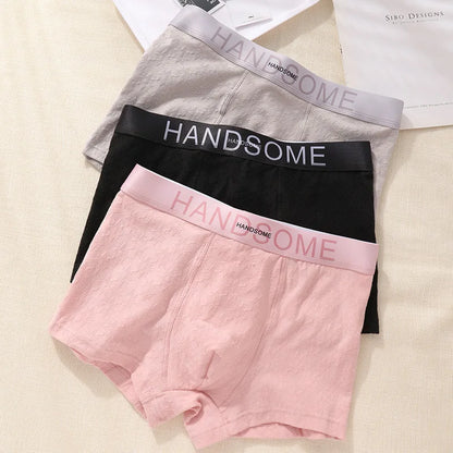 EXILIENS HANDSOME Cotton Boxer Men Underwear Breathable Mens Boxers Cuecas Masculinas BoxerShorts Man Panties Size L-3XL BH005