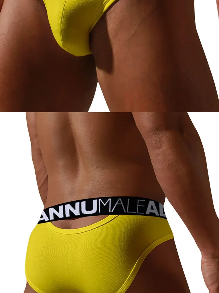 Men's Brief Low Waist Underwear