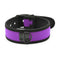 Collar-Purple