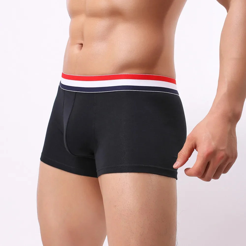 New Boxer Men Cotton Underwear Sexy Knickers for Men Underwear Sexy Man Briefs Mens Boxers Panties Underpants Brand Short