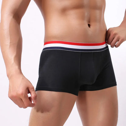 New Boxer Men Cotton Underwear Sexy Knickers for Men Underwear Sexy Man Briefs Mens Boxers Panties Underpants Brand Short