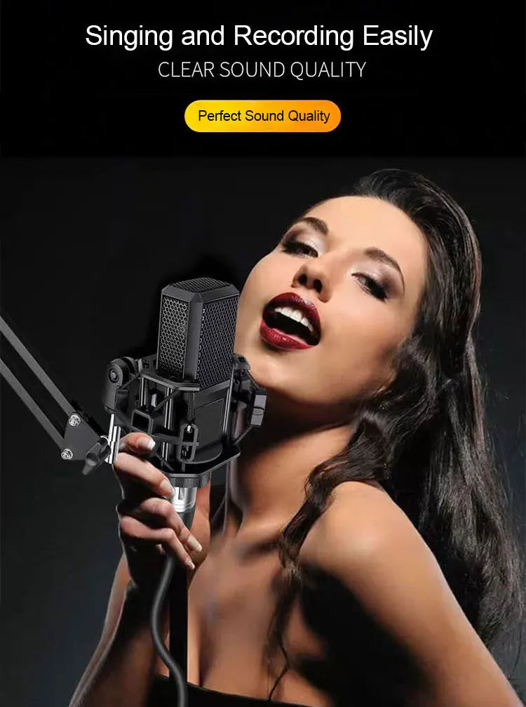 Professional Podcast Music Studio Recording Karaoke Condenser Microphone Game Live Broadcast KTV Sound Audio Card Kit for Stream