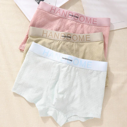 EXILIENS HANDSOME Cotton Boxer Men Underwear Breathable Mens Boxers Cuecas Masculinas BoxerShorts Man Panties Size L-3XL BH005