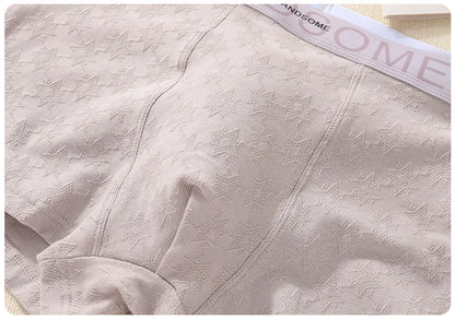 EXILIENS HANDSOME Cotton Boxer Men Underwear Breathable Mens Boxers Cuecas Masculinas BoxerShorts Man Panties Size L-3XL BH005