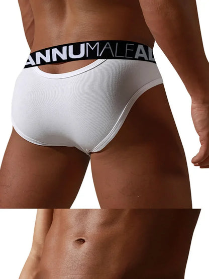 Men's Brief Low Waist Underwear